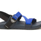 Chaco - Men's Lowdown Sandal