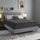 Restonic comfortcare 14” euro top hybrid mattress