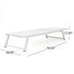 Myers Modern Chaise Lounge Set With Adjustable Back