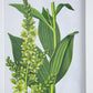 Verdure Elegance™ — Set of 4 Botanical Wall Art Prints