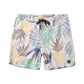 Roark - Chiller Boardshorts 17"