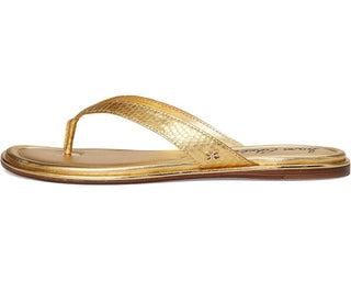 Sam Edelman - Chinelo Feminino Remi Couro