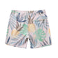 Roark - Chiller Boardshorts 17"