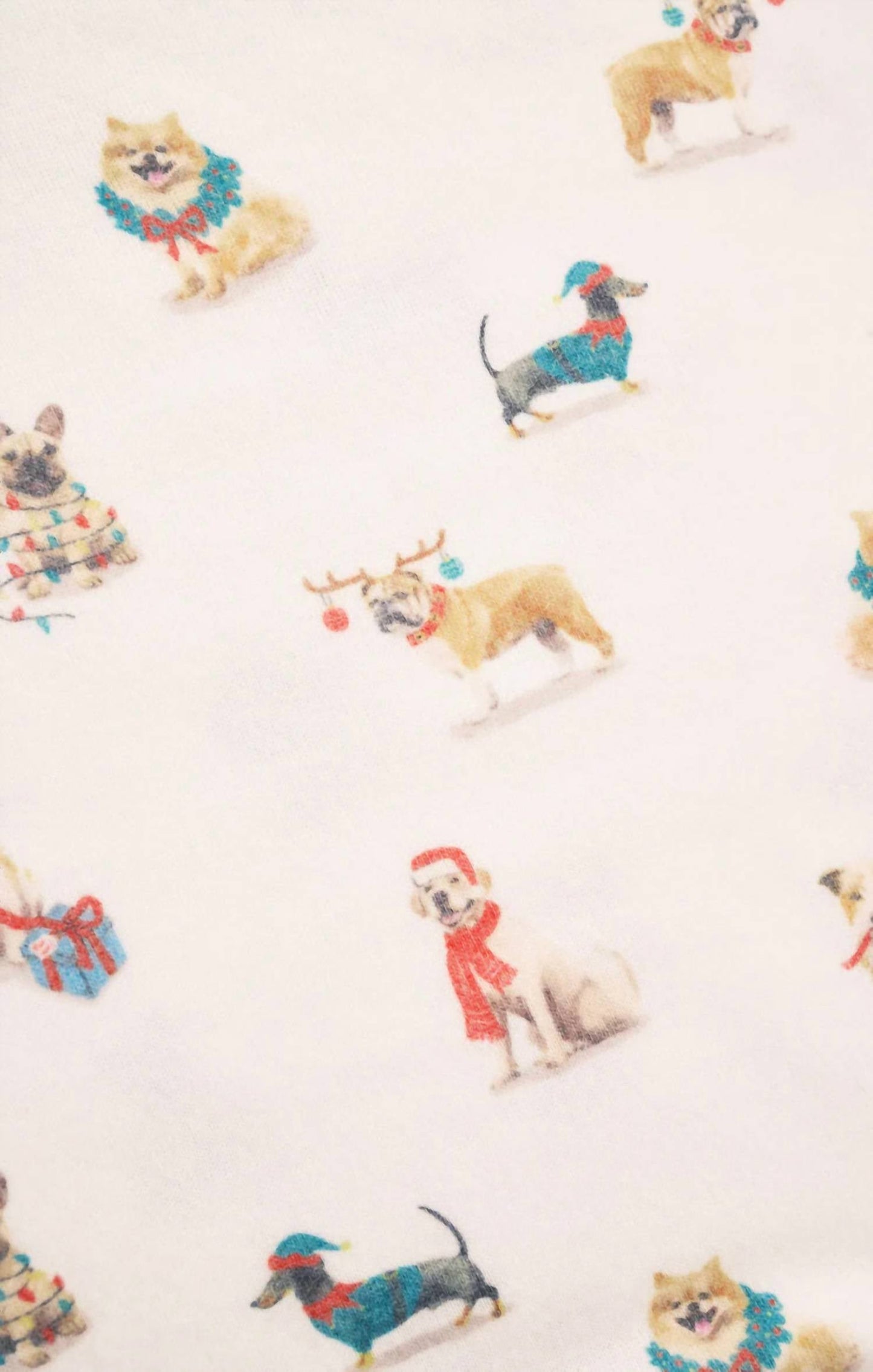 Z Supply - Classic Pup Short