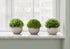 5" Tall, Artificial Plant, Grass, Indoor, Faux, Fake, Table, Greenery, Potted, Decorative (Set of 3) - Green / Gray
