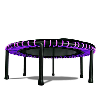 LEAPS &amp; REBOUNDS Mini Trampolim Fitness de 48" e Equipamento de Ginástica Rebounder, Roxo