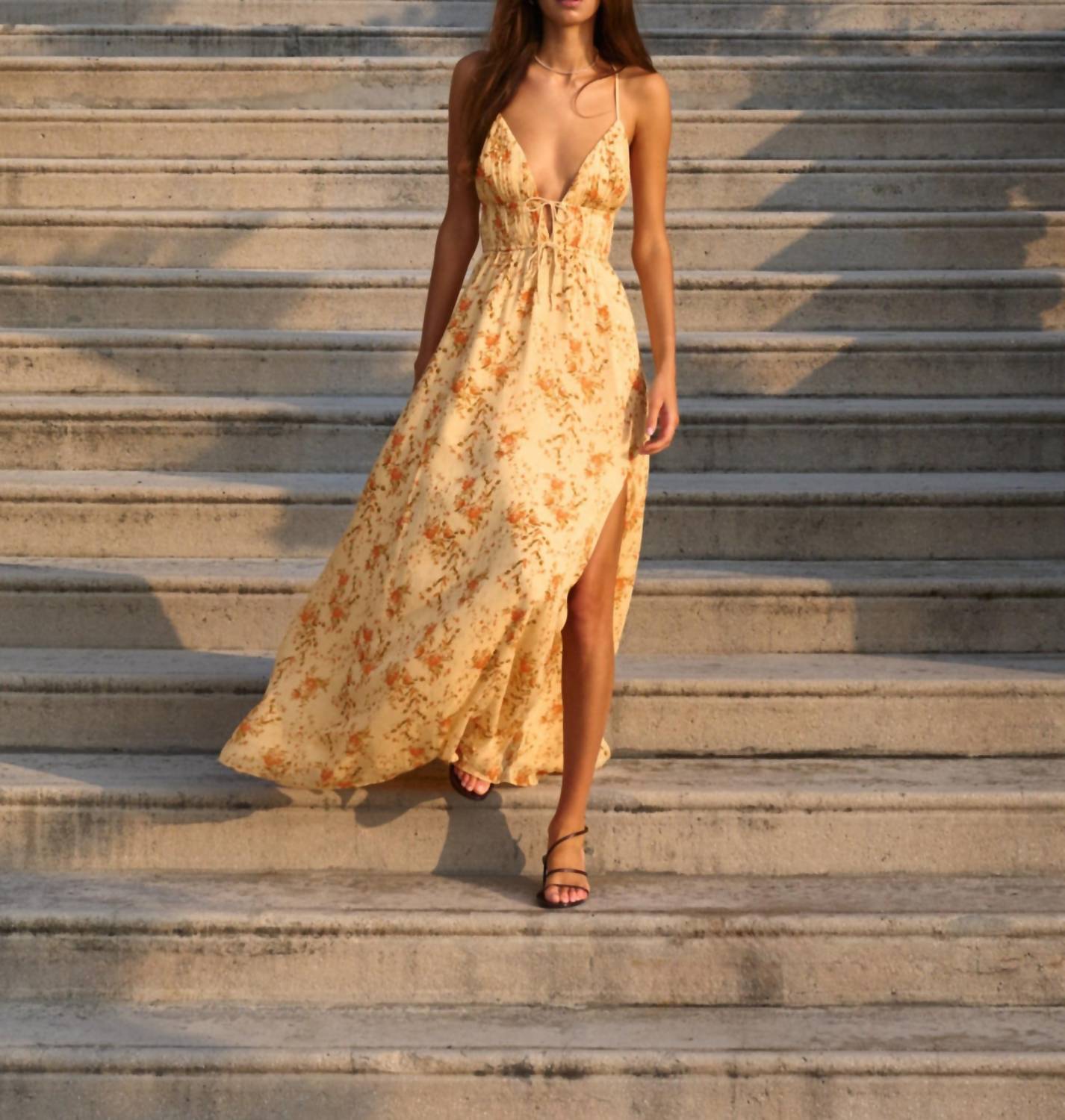 Cami Nyc - Dorinda Crinkle Chiffon Maxi Dress