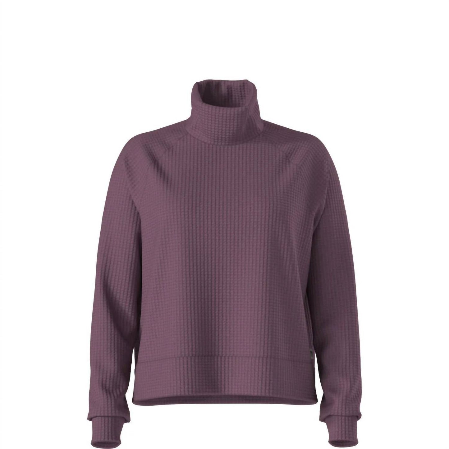 The North Face - Mock Neck Chabot Pullover