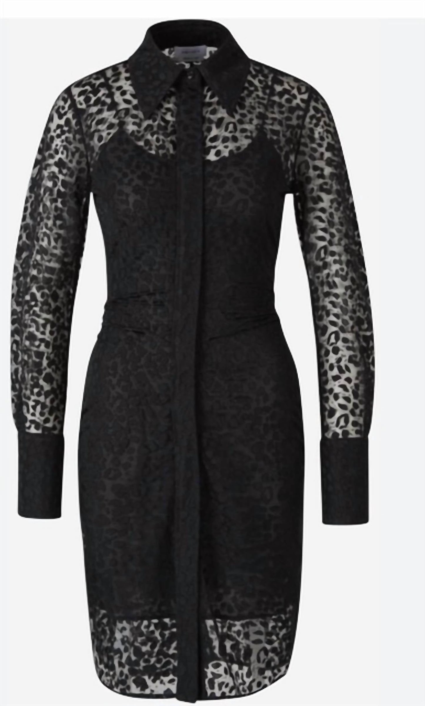Alexander Mcqueen - Leopard Devore' Jersey Day Dress