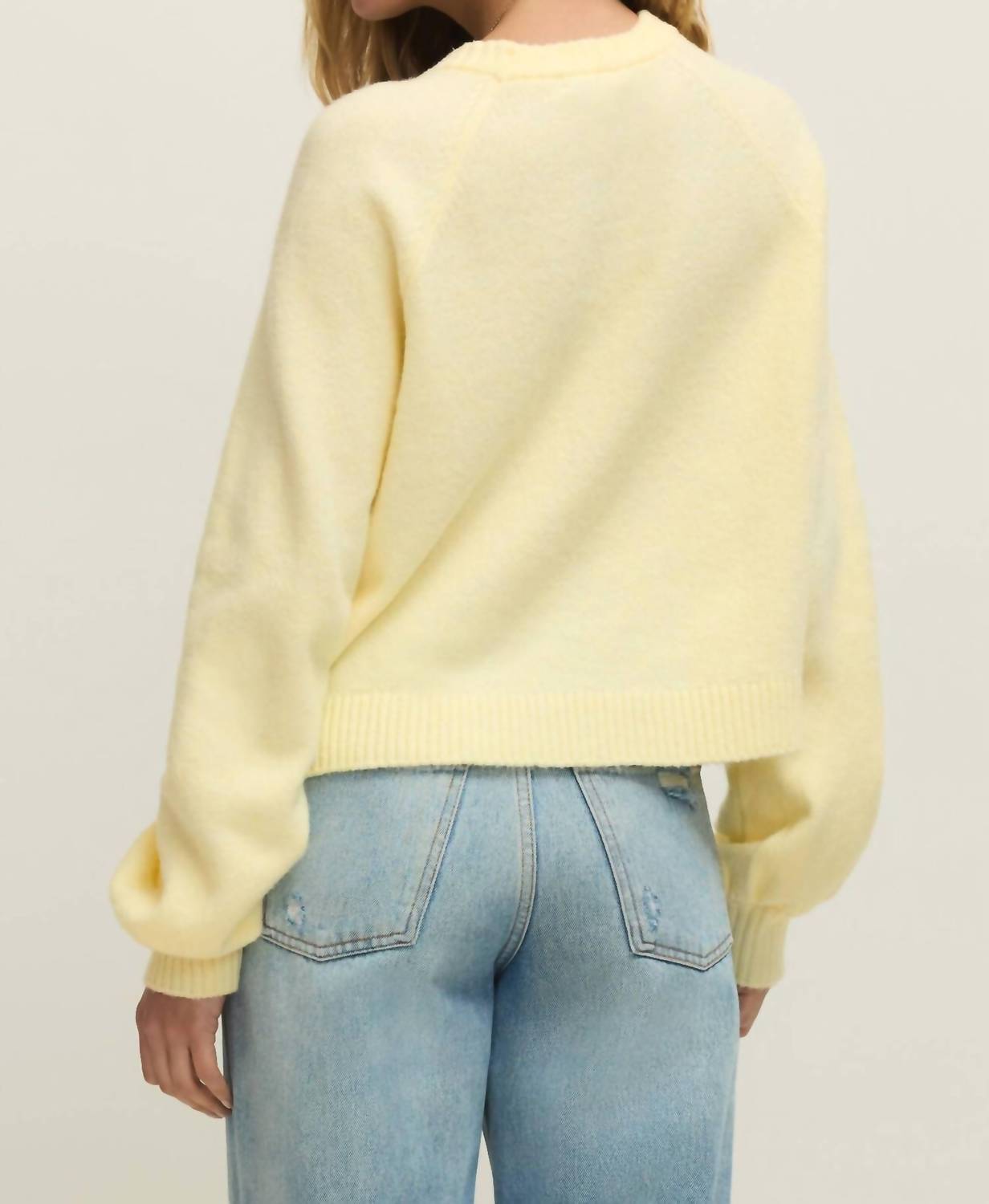 Z Supply - Coming Up Crewneck Sweater