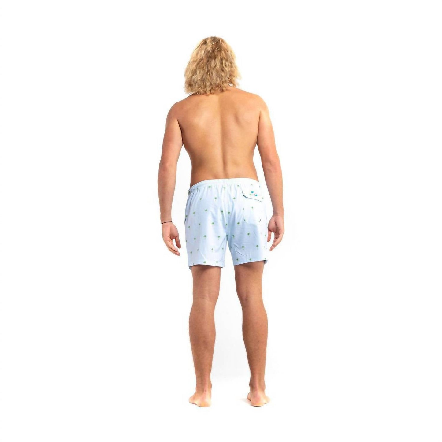 Bermies - Palm Stripes Swim Trunk