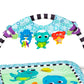 Baby Einstein Neptune's Discovery Reef Baby Tummy Time Atividade Ginásio Brinquedo Bar