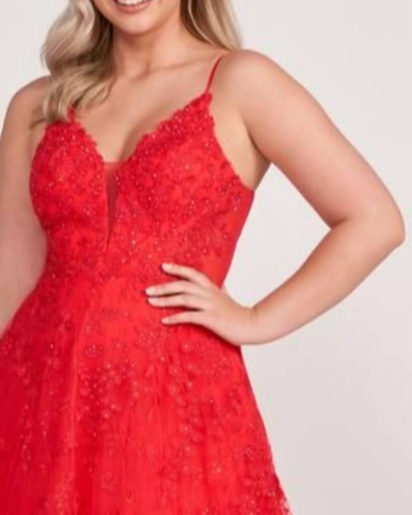 Ellie Wilde - Embroidered Lace Dress