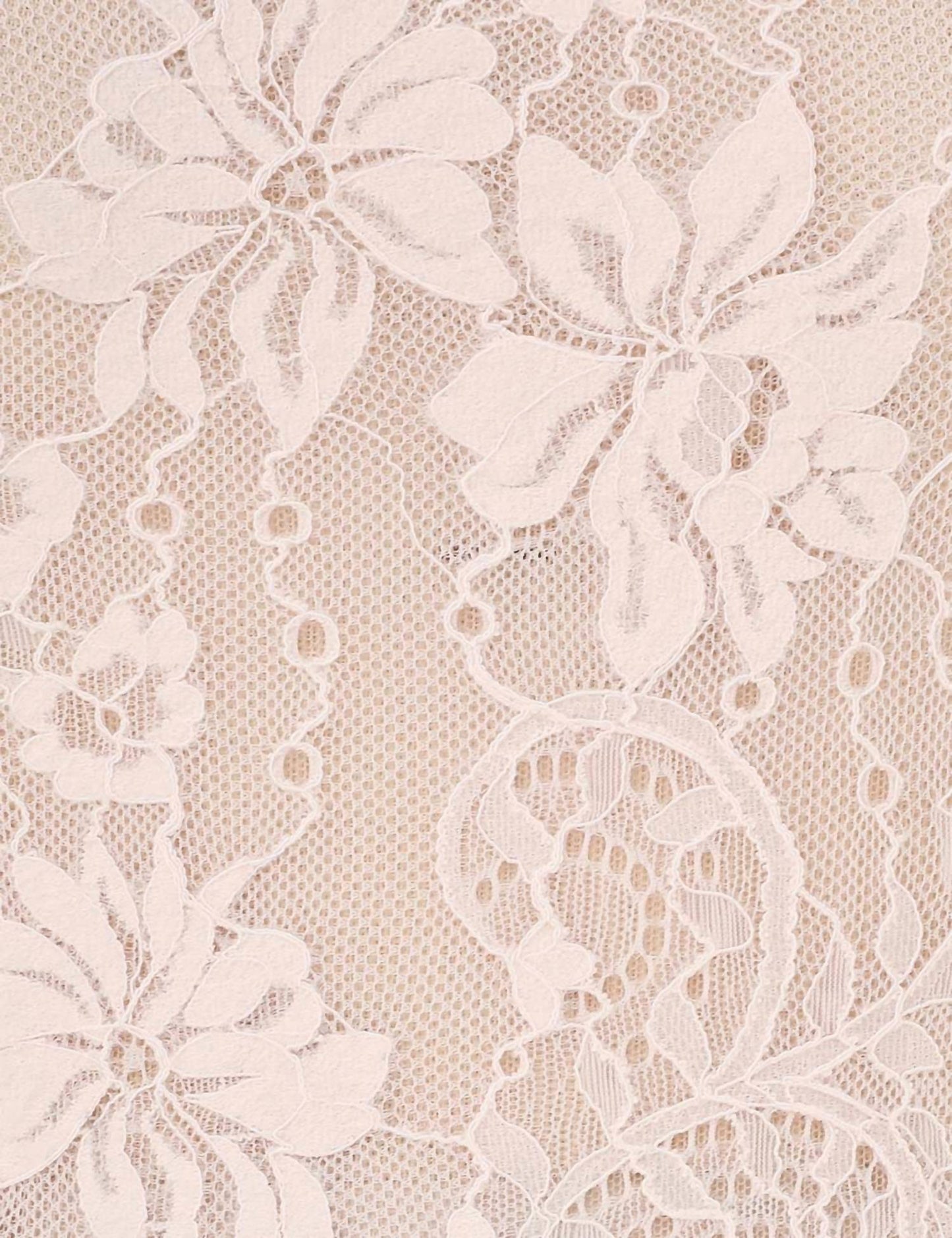 Zimmermann - Lace Scoop Neck Bodysuit
