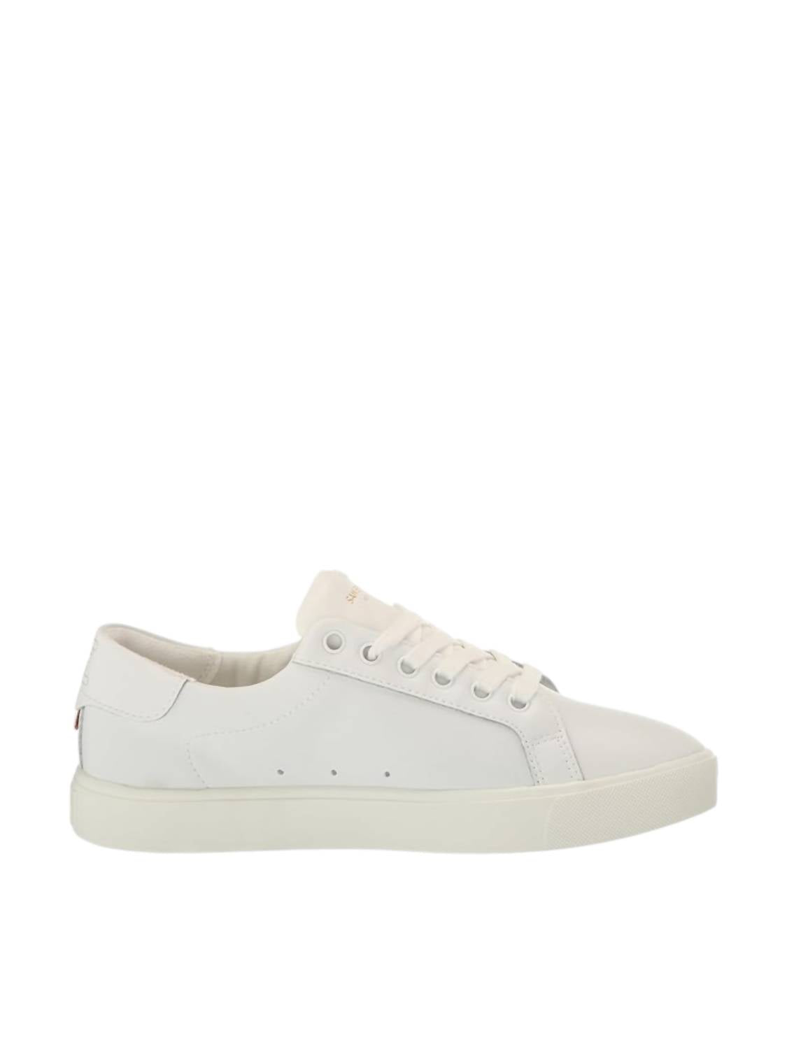 Sam Edelman - Women's Ethyl Lace Up Sneakers