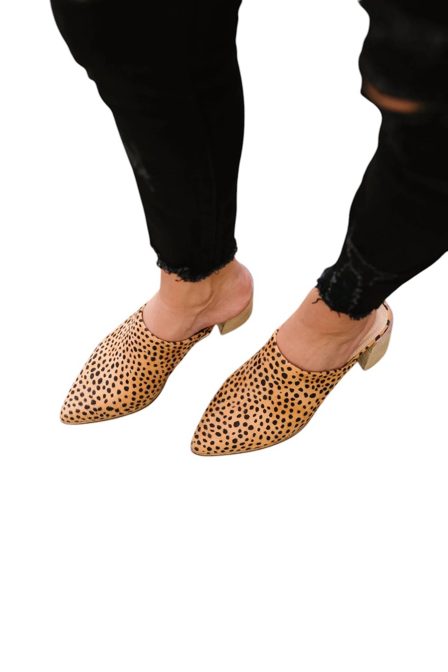 Ccocci - Women's Spotted Mules