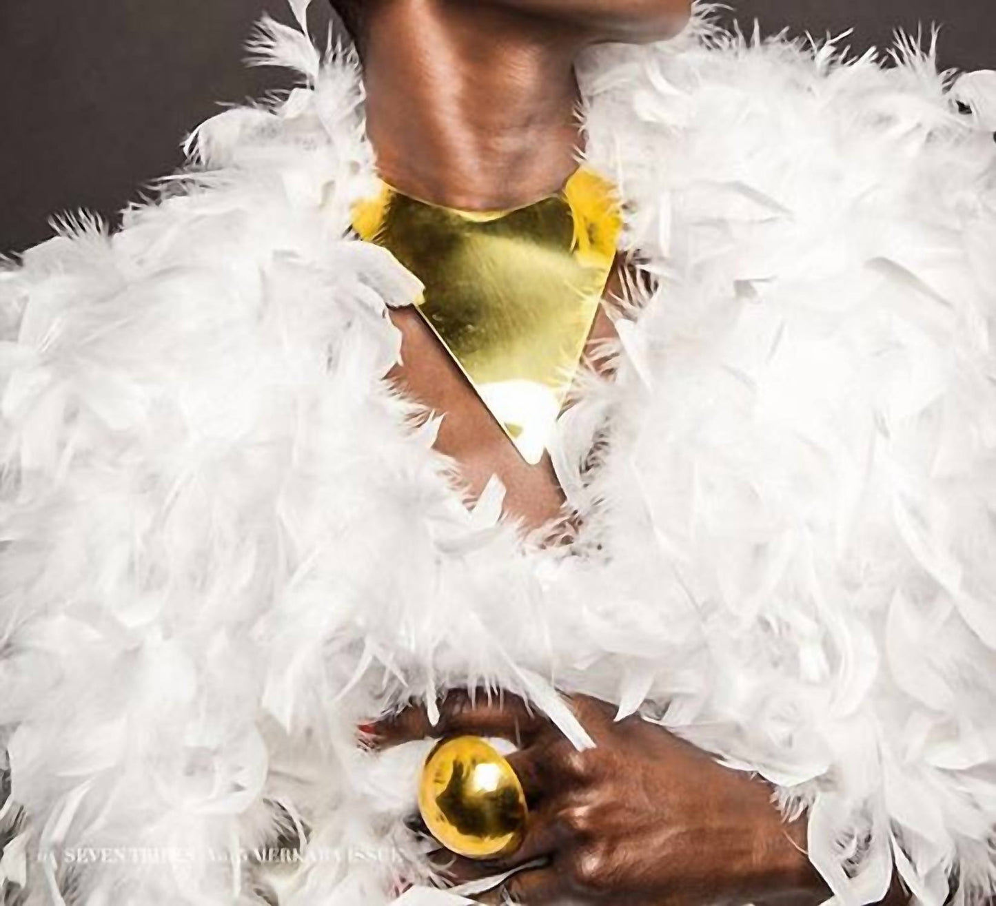 Avenue Chic - Pectoral Collar Necklace