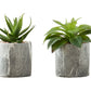6" Tall Artificial Succulent Plants, Set of 2