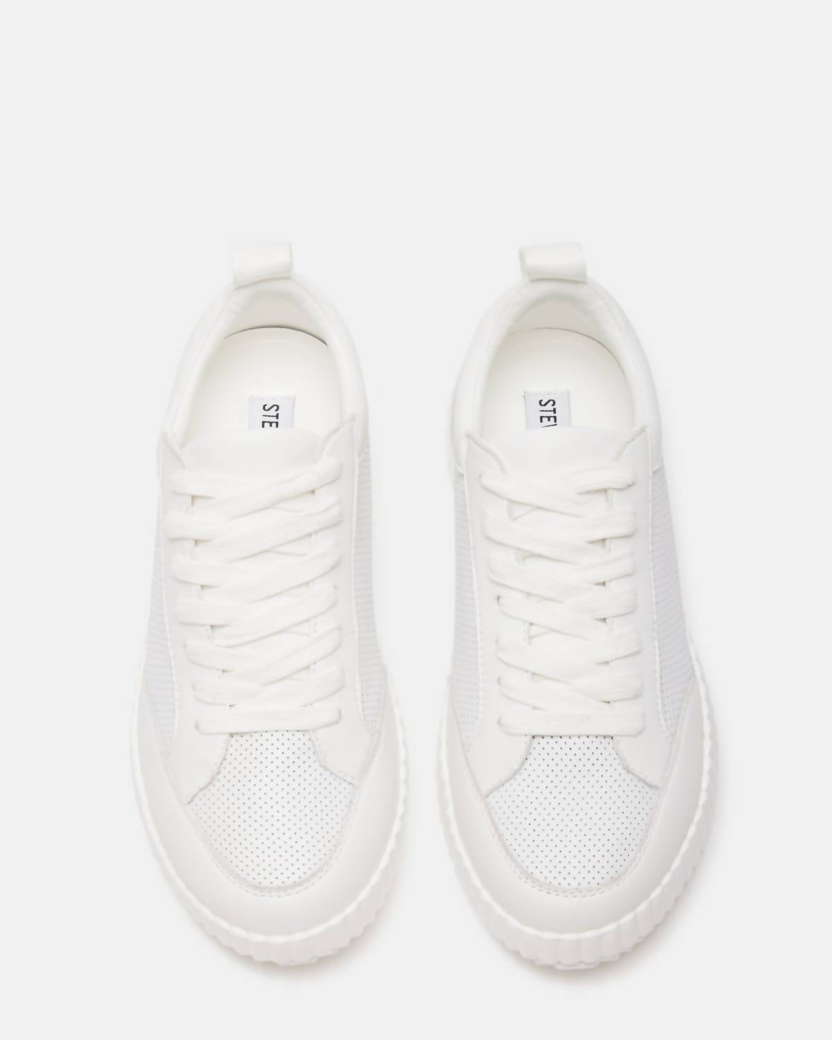 Steve Madden - Shock Sneaker