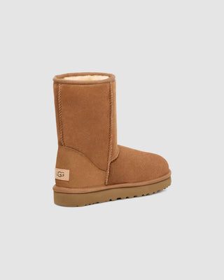 Ugg - Short Clássico Feminino II