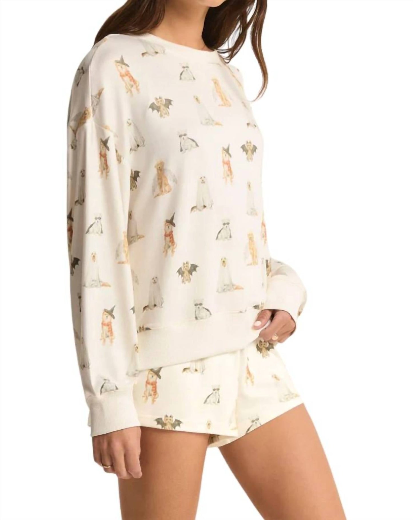 Z Supply - Hey Boo Dog Longsleeves Top