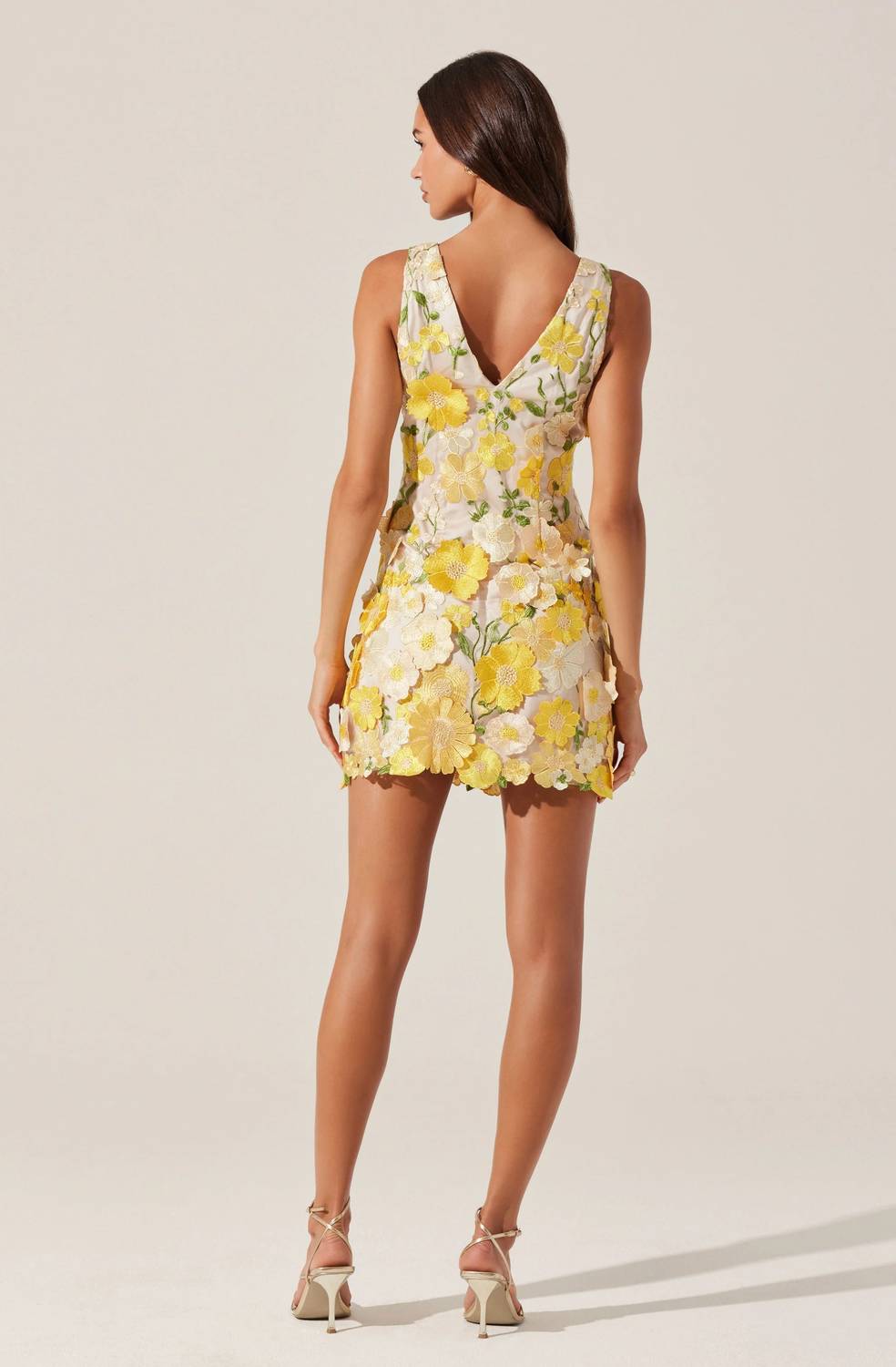 Astr - AISHA FLORAL APPLIQUE MINI DRESS