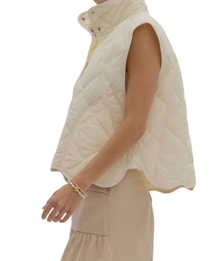 Introdução - Colete Recortado