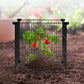 5-pack Rust-proof Metal Garden Plant Protectors and Cages