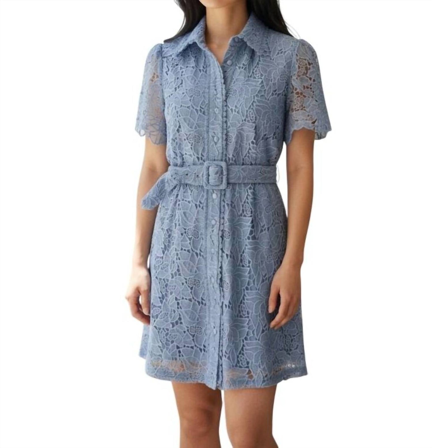 Allison New York - Eyelet Midi Collar Dress