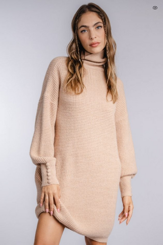 Silk & Salt Turtleneck Dress One Size