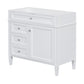 Bathroom Vanity With 2 Drawers and Tip-Out Drawer Storage Cabinet