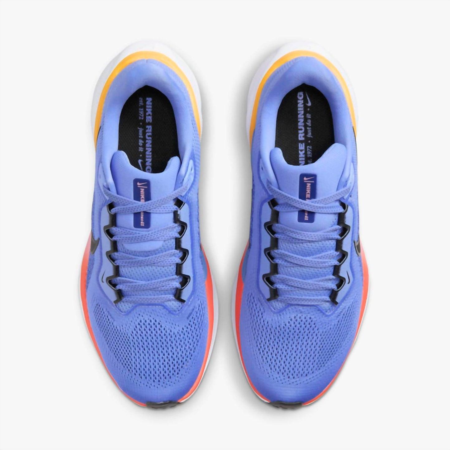 Nike - Tênis Feminino Pegasus 41