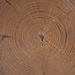 Amira Outdoor and Indoor Stump Shape MGO Side Table Brown Finish