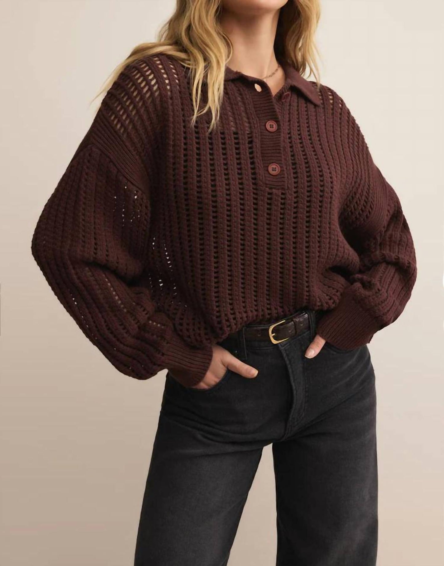 Z Supply - Looking Glass Crochet Polo Sweater