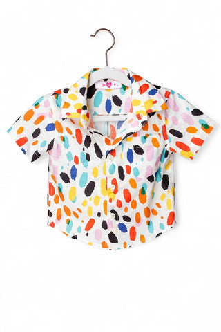 Buddylove - BOY'S NASH BUTTON DOWN SHIRT