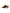 sofft-womens-strathmore-sandals