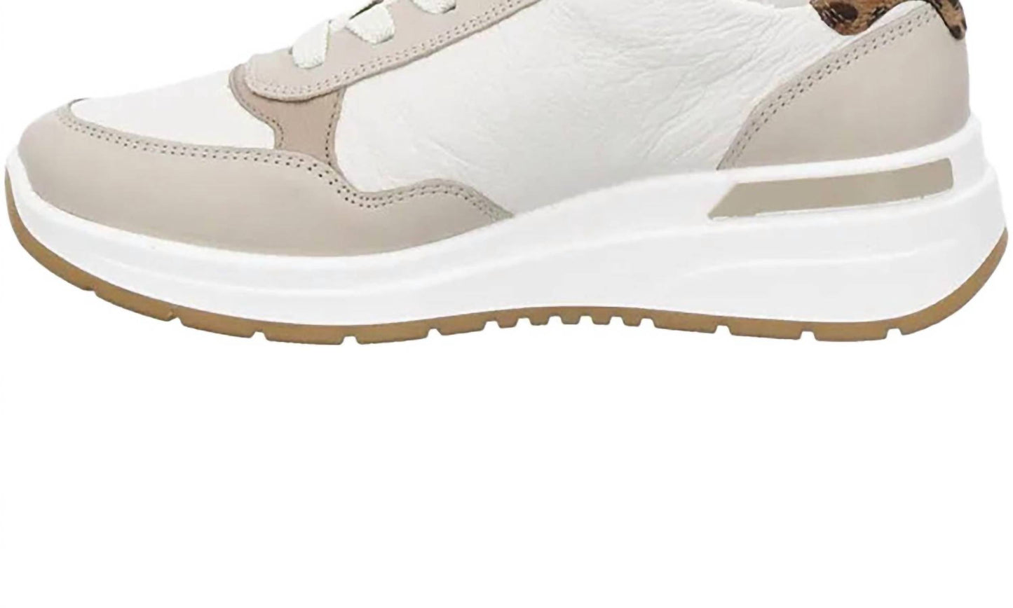 Ara Shoes - Women's Gardenia Sneaker