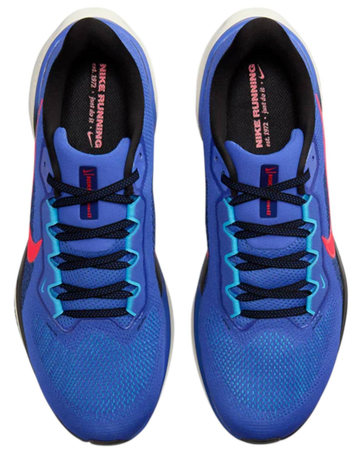 Nike - Tênis Air Zoom Pegasus 41 Masculino