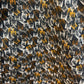 A Fish Named Fred - Men's Tumbling Glass Shirt