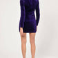 Adelyn Rae - Eunice Velvet Bodycon Mini Dress