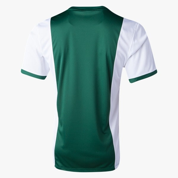 Camiseta Nike Park Derby para meninos, verde/branca, tamanho juvenil