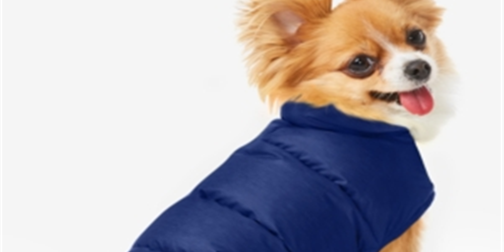 Casaco masculino reversível de plumas 32 Degrees, azul, tamanho pequeno