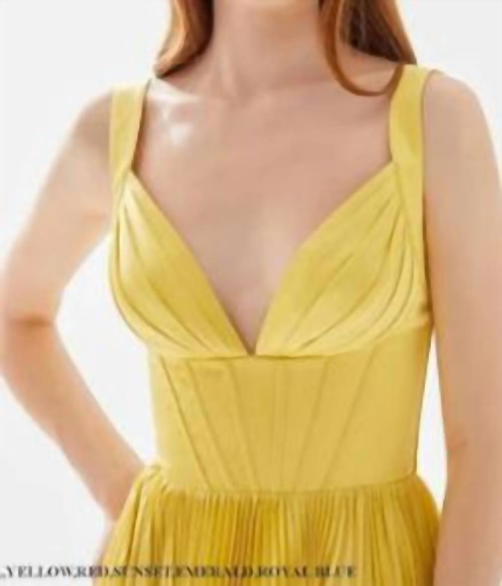 Tarik Ediz - Corset top with pleaded gown