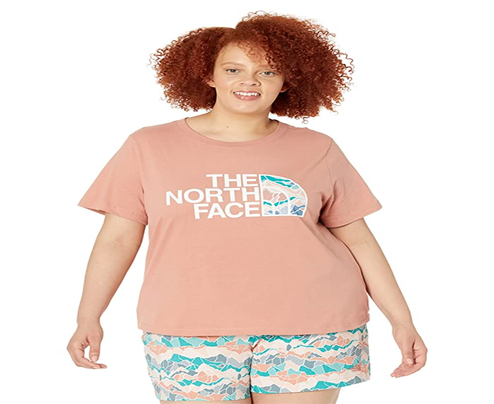 Camiseta feminina de algodão Half Dome The North Face, manga curta, rosa, tamanho 2X