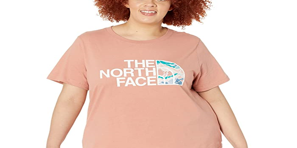Camiseta feminina de algodão Half Dome The North Face, manga curta, rosa, tamanho 2X