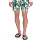 The North Face Masculino Estampado Classe V Pull On Short Verde Tamanho Grande