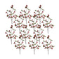Boxwood Berry Twig Spray (Set of 12)