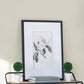 Verdura Botanica: Four-Print Houseplant Pencil Art Set