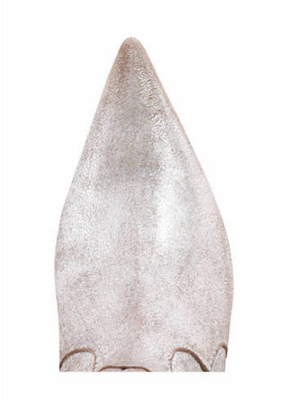 Seychelles - Dallas Boots