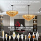 Modern Round 14-Light Black Chandelier with Smoke Glass Tubes